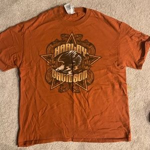 Colour shade is Ginger( brownish orange), Size is L. Quality is 10/10.